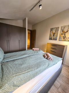 Modern Borovets apartment A61 - Borovets - 4