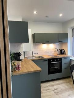 HOME GREEN TOUCH - Fibre*Near Basel*Cosy - Saint-Louis - 3