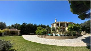 Apeiron Villas - Olive Forest Apartment - Cefalonia - 4