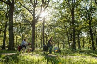 EXIGEHOME - Beautifull T2 near Versailles Saclay & Chevreuse - Voisins-le-Bretonneux - 4