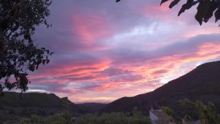 LES ERES DE GÁTOVA-Diente de León - 5