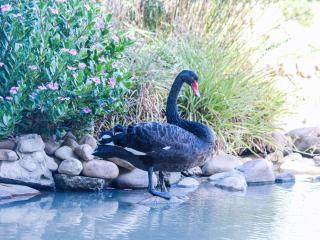 Bydand Guest House - 3