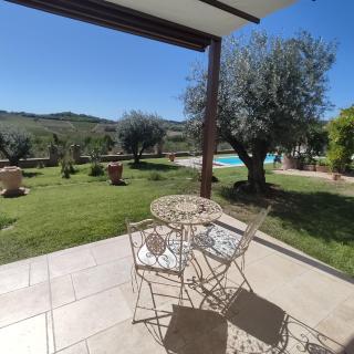 Country House Montessino - adults only - Ottiglio - 7