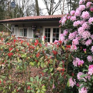 Chalet 2Relax Free Wifi Netflix - 8