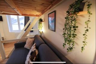 Lake Escape - with private parking - Annecy - 6