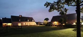 De Peirdestal - Pittem - 0