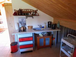 1-Zimmer-Studio am Waldrand - Hammelbach - 3