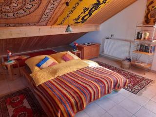 1-Zimmer-Studio am Waldrand - Hammelbach - 4