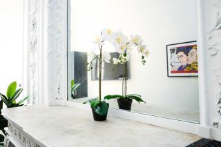 Stylish Studio in Historic Boston - Unit #209 - Boston - 6
