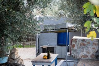 Vineyard Vathis - Kalymnos - 7