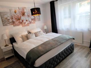Fewo BUDDY, 2 große Zimmer mit Balkon - Todtmoos - 8