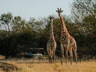 AfriCamps Waterberg - Vaalwater - 7