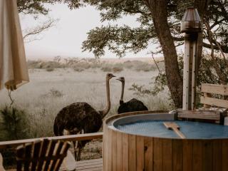 AfriCamps Waterberg - Vaalwater - 9