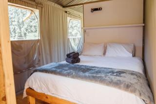 AfriCamps Waterberg - Vaalwater - 1