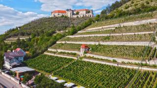 Landhotel Weingut Schulze - Freyburg - 7