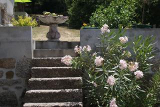 Quinta da Encavalada - Nogueira do Cravo - 3