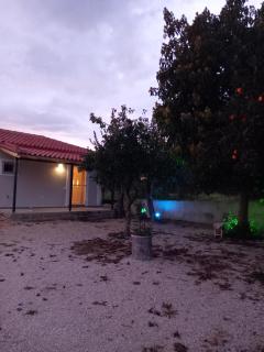 Avocado house - 3