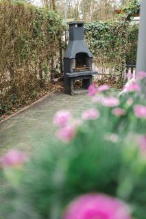 Chalet op familiepark Veluws Hof op de Veluwe - Hoenderloo - 8