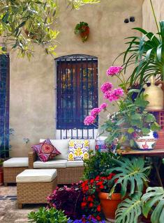 Oliva Courtyard Guesthouse - 1