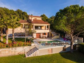 Villa Barotul with pool - Mrljane - 5