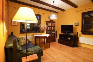 Kamińsko by Latowisko - Puszcza Zielonka - 1