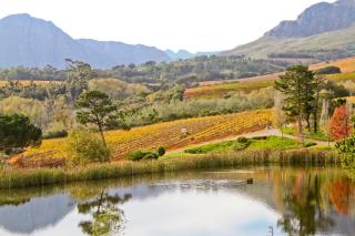 Webersburg - Stellenbosch - 4