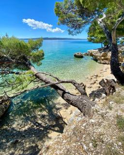 Apartment Villa Mirna - Makarska - 3