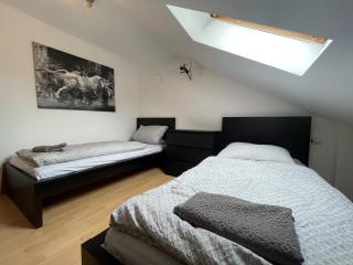 Simplex Apartments In Durlach - Karlsruhe - 0