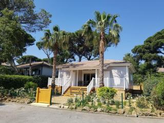 Chalet Californien, piscine privée, plage 5 mn ! - Gassin - 9