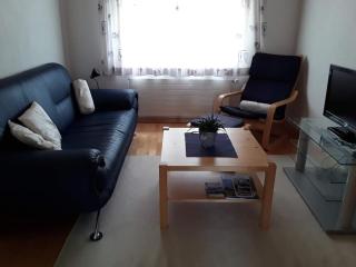Zwinglis Ferienwohnung Rosi - Nesslau - 3