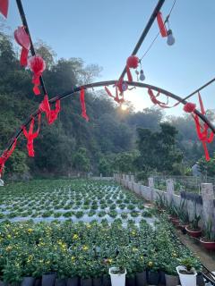 Mộc Homestay - Mộc Châu - 8