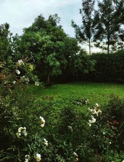 Lyn's country house - Kyagazhu - 6