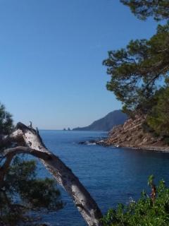 Villa sur le toit - Saint-Mandrier-sur-Mer - 5