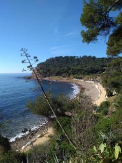 Villa sur le toit - Saint-Mandrier-sur-Mer - 3