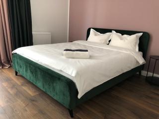 Saulės Tako apartamentai - Druskininkai - 1
