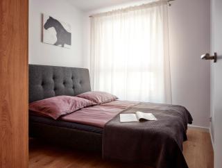 A&W Apartament Franciszkańska - Koszalin - 5