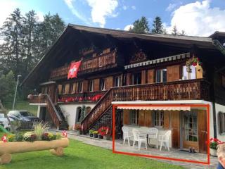 1 room apt, kitchen, patio, in beautiful chalet - Les Diablerets - 0