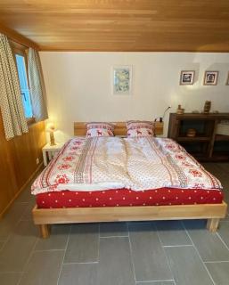 1 room apt, kitchen, patio, in beautiful chalet - Les Diablerets - 5