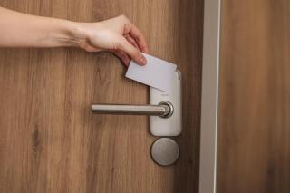 Homaris East Side - 1