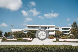 Papagayo Beach Hotel - Willemstad - 6