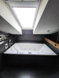 Presidental Suite Apartment by Livingdowntown - 9