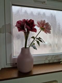 Schöne große Wohnung 2 Schlafzimmer Max 5 Personen - 2