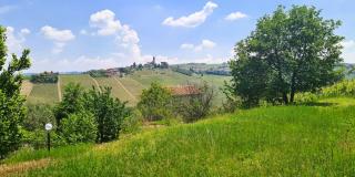 Da Maurizio - Castiglione Tinella - 9