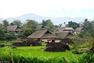 HOMESTAY Thác SỐ 6 HÀ GIANG - 6