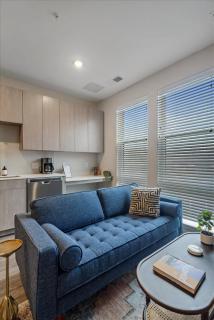CozySuites Modern SDO, Lawrenceville - Pittsburgh - 9