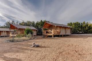 12 Fires Luxury Glamping with Heating #4 - Johnson City - 7