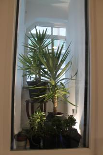 Real Guest House - Costa da Caparica - 3