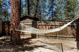 648 Double Nichol, Pet Friendly! - 7