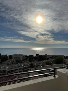 Villa Francia Cannes - Cannes - 9