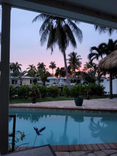 Tiki Pool Water Front Paradise - Pompano Beach - 0